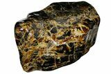 Wide Piece Of Polished Indonesian Amber - Massive! #176134-2